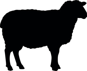 Black sheep silhouette farm animal icon