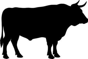 Black silhouette of a powerful bull standing