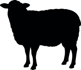 Black sheep silhouette isolated on white background