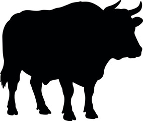 Black silhouette of a powerful bull