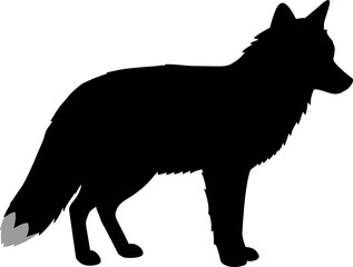 Black fox silhouette standing isolated white background
