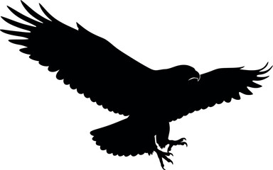 Silhouette of eagle in flight wings spread wide