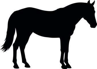 Black horse silhouette elegant equine profile