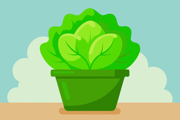 green plant in a pot