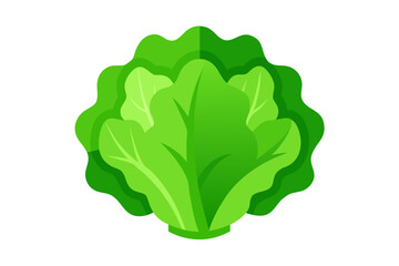 green leaf isolated on white