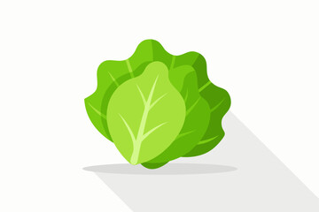 green leaf isolated on white