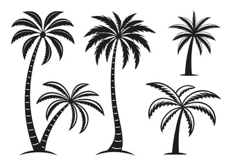 Obraz premium Collection of Five Black Silhouette Palm Trees on White Background tropical nature