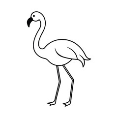 outline flamingo vector illustration