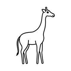 Fototapeta premium outline giraffe cartoon on white background 