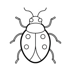 vector illustration of a ladybug