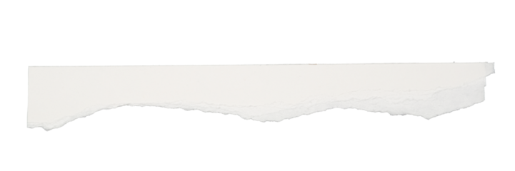 torn white paper strip isolated on background, PNG