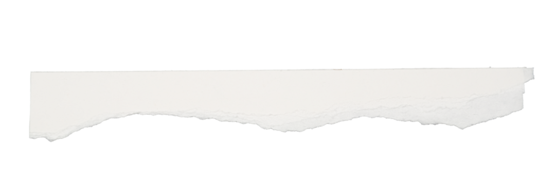 torn white paper strip isolated on background, PNG
