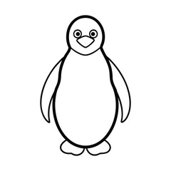 penguin on white background