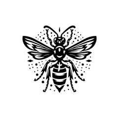 Illustration of a bee with wings spread isolated on white background