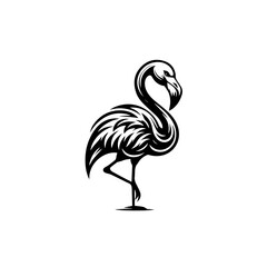 Ornate flamingo illustration isolated on white background with decorative feathers