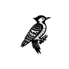 Woodpecker illustration isolated on white background perched on a branch