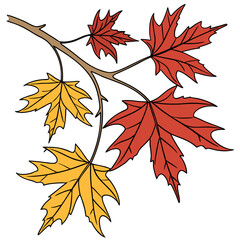 Autumn leaves set for coloring page vector