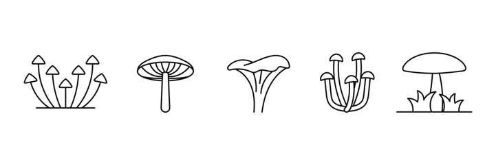 Set of Forest mushroom liner icon collection. Porcini, cep, champignon symbol.