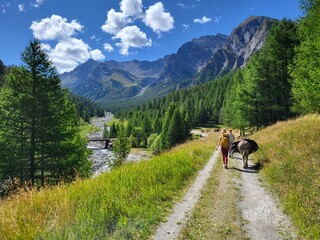 Parc Régional du Queyras, Hautes-Alpes, France