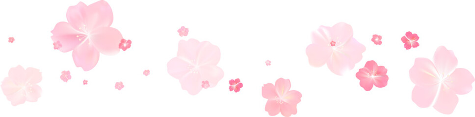 Delicate light pink sakura flowers flow. Wind swirls