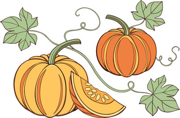 Pumpkin Clipart Design for Creative and Seasonal Artwork. High Quality Pumpkin Clipart Design for Digital Projects. Pumpkin Clipart Design for Halloween and Autumn Themes. Professional Pumpkin Clipart