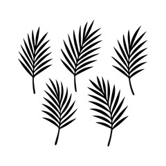 Naklejka premium Five stylized black palm fronds on a white background