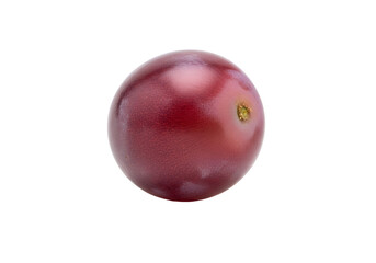 Close-up of a single red grape.