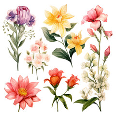 Set of Different Beautiful Flowers isolated on transparent background Remove png