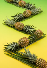 Zigzag Pineapple Path on Vibrant Citrus Background
