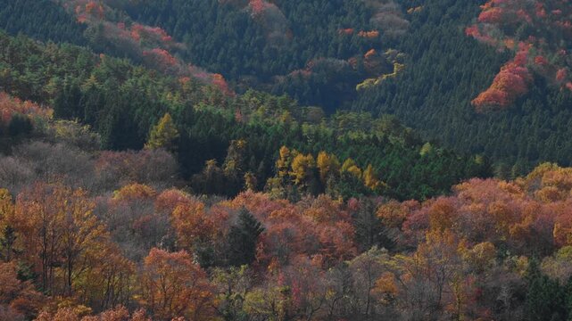 紅葉が始まったばかりの山並み