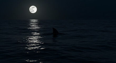 Dramatic moonlit ocean with shark fin lurking, perfect for suspenseful thriller book covers and scary movies