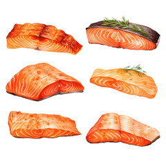 Set of Different Grilled Salmon Fillets isolated on transparent background Remove png