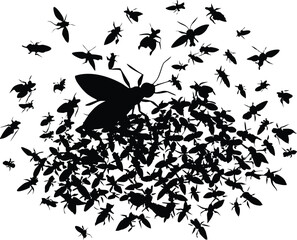 Insects Swarming in Light Silhouette | Night Insect Attraction Art