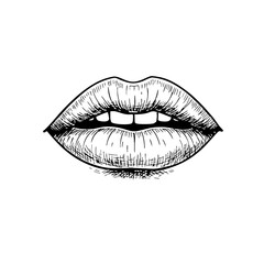 Fototapeta premium Vintage sketch of female lips with detailed line art 