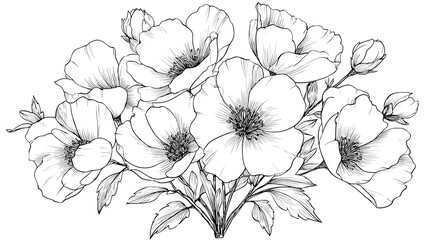 Outline bouquet for coloring on white background 