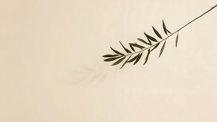 Minimalist botanical illustration of a branch with leaves casting a shadow, isolated on white background for elegant design projects