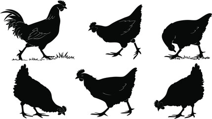 Cock Silhouette Illustration vector design, Cock logo and icon Design, Cock vector design