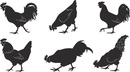 Silhouette Cock vector design, Cock icon Design
