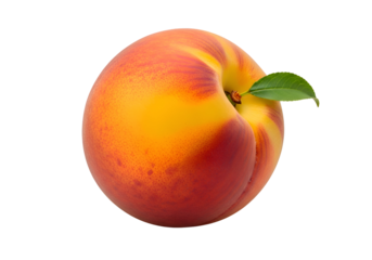 Close up of a single, ripe peach on a black background.