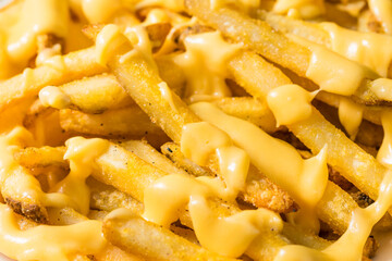 Fatty Unhealthy Cheese French Fries