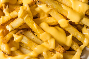 Fatty Unhealthy Cheese French Fries