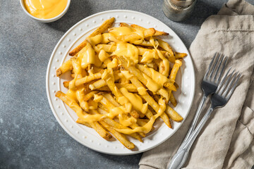 Fatty Unhealthy Cheese French Fries