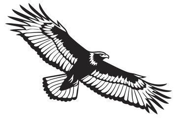eagle in flight