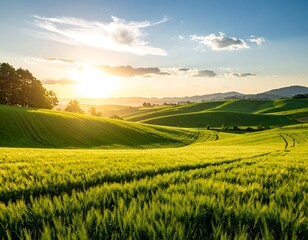 Obraz premium Lush green fields at sunset