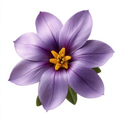 Obraz premium Purple Flower With Yellow Center On White Background