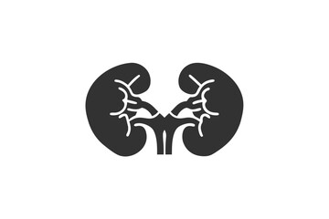 kidneys  silhouette on a white background