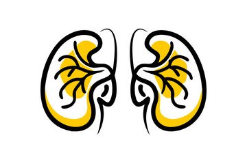 Obraz premium Colorful cartoon vector illustrations kidneys, a part of human