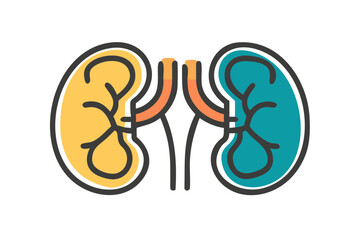 Colorful cartoon vector illustrations kidneys, a part of human