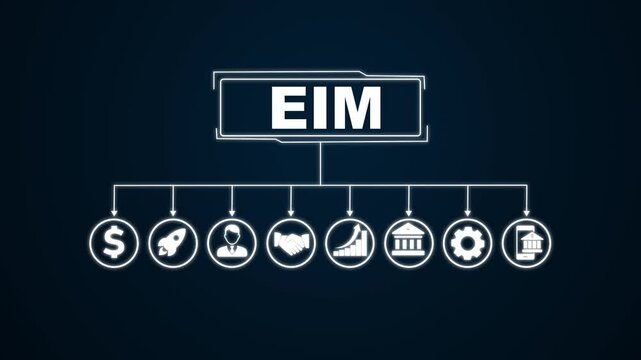 EIM Enterprise information management system, business insights from large data sets, EIM Enterprise information management system.