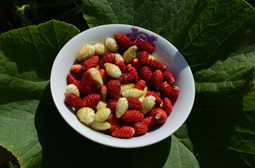 fresh strawberries in bowl is a healthy food
